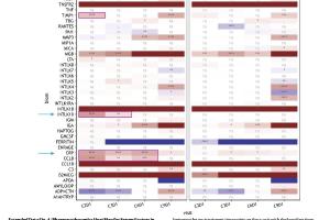 医疗科研新探索|菁易科研解读尼伏鲁马布和雷拉特利马布辅助治疗黑色素瘤试验