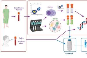 医疗科研新进展 | 菁易科研解读：测序技术助力多发性骨髓瘤精准治疗