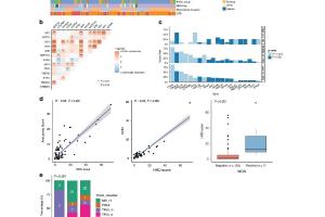 医疗科研新进展 | 菁易科研解读：整合同源重组缺陷亚型助力子宫内膜癌精准治疗