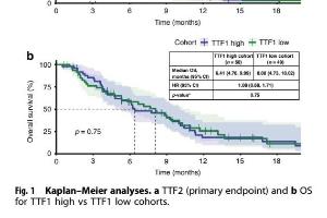 医疗科研新发现｜菁易科研解读：晚期胰腺癌二线化疗预测标准