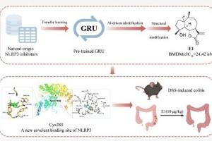 医疗科研新突破 | 菁易科研解读：AI如何助力发现强效NLRP3抑制剂？