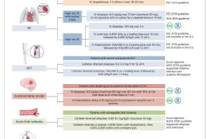 医疗科研新洞察 | 菁易科研解析纤溶治疗在血栓栓塞疾病中的应用与前景