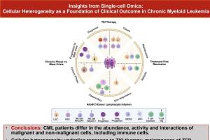 医疗科研新发现 | 菁易科研解读：单细胞组学揭示慢性髓系白血病细胞异质性