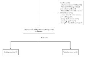 医疗科研新突破 | 菁易科研解读：影像组学模型预测不可切除胆管癌TACE疗效