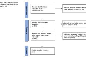 医疗科研新洞察 | 菁易科研解读全脑放疗副作用防护研究