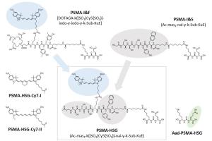 医疗科研新突破 | 菁易科研解读：新型PSMA靶向双模态示踪剂助力前列腺癌手术