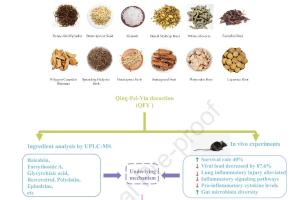 医疗科研新发现 | 菁易科研深度剖析：清肺饮如何多机制对抗流感？