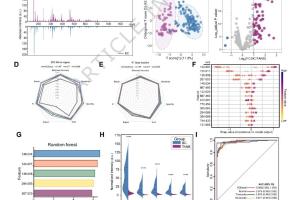 医疗科研新突破 | 菁易科研解读多模态成像与机器学习识别乳腺癌切缘标志物