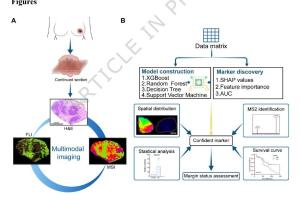 医疗科研新突破 | 菁易科研解读多模态成像与机器学习识别乳腺癌切缘标志物