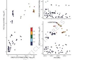 医疗科研新发现 | 菁易科研解读：循环炎症蛋白与精神疾病风险的因果关联