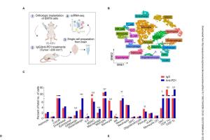 医疗科研新发现 | 菁易科研解读：PD-1阻断如何影响血脑屏障与脑转移？