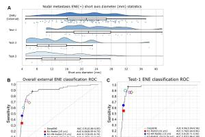 医疗科研新突破 | 菁易科研聚焦：深度学习助力喉癌和下咽癌ENE精准识别