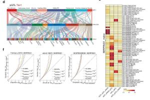 医疗科研新发现 | 菁易科研解读：SERPING1如何成为慢性阻塞性肺疾病治疗新靶点？