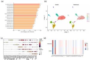 医疗科研新进展 | 菁易科研解读：抑制神经酰胺合成对帕金森病治疗的潜力