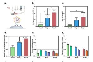 医疗科研新发现 | 菁易科研解析：阿尔茨海默病早期突触tau聚集物的奥秘