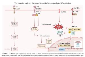 医疗科研新进展 | 菁易科研解读阿尔茨海默病与牙周炎的双向关联