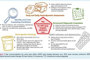 医疗科研新突破 | 菁易科研解读：国际专家共识如何优化急性心力衰竭护理？