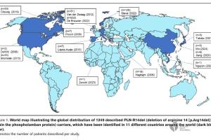 医疗科研新发现 | 菁易科研深度剖析磷蛋白R14del心肌病病理机制
