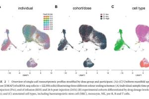 医疗科研新进展 | 菁易科研聚焦：工程化细胞外囊泡抑制NF-κB的研究