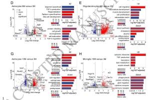 医疗科研新进展 | 菁易科研聚焦：MYC蛋白在肌萎缩侧索硬化症中的关键角色