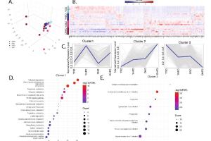  医疗科研新发现 | 菁易科研解读雷帕霉素逆转衰老肝脏代谢应激效应