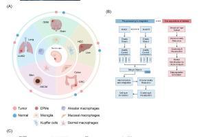医疗科研新发现 | 菁易科研解读组织驻留巨噬细胞在泛癌中的免疫治疗意义