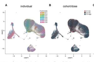 医疗科研新突破 | 菁易科研深度解析工程化细胞外囊泡抑制NF-κB的奥秘