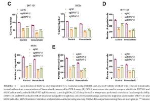 医疗科研新突破 | 菁易科研解读：TMTP1修饰囊泡逆转甲状腺癌维莫非尼耐药