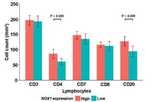 医疗科研新发现 | 菁易科研解读食管胃交界癌分子特征