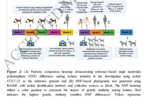 医疗科研新发现 | 菁易科研解读：兽医设施中大肠杆菌在人与动物间的传播情况