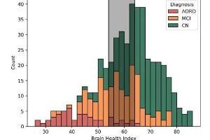医疗科研新进展 | 菁易科研解读：脑健康指数如何助力认知障碍早筛？