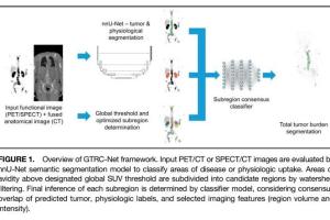  医疗科研新突破 | 菁易科研解读：深度学习助力前列腺癌影像指标自动测量