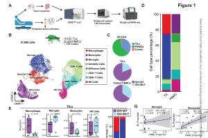医疗科研新发现 | 菁易科研解读：单细胞分析揭示胶质瘤独特预后免疫特征