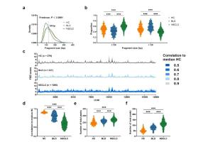 医疗科研新突破！菁易科研解析循环细胞游离线粒体DNA助力NSCLC早期诊断