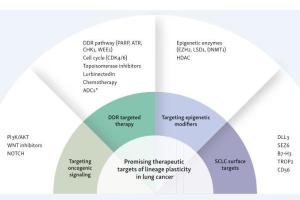 医疗科研新发现 | 菁易科研解读肺癌谱系可塑性分子图谱与治疗策略