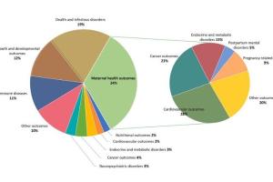 医疗科研新发现 | 菁易科研解读母乳喂养与母婴健康结局的关联