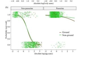 医疗科研新发现 | 菁易科研解读卵团对鸟类巢穴结构演化的影响