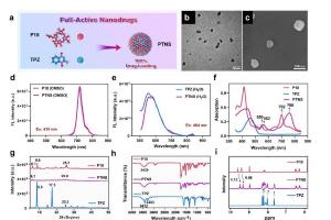 医疗科研新突破 | 菁易科研解读：声触发纳米放大器对抗细菌性肺炎