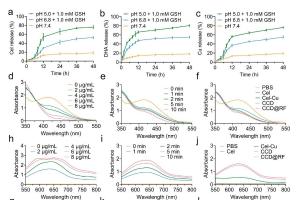 医疗科研新突破 | 菁易科研解读：双层自组装纳米颗粒助力肿瘤免疫治疗
