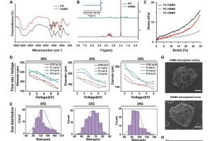 医疗科研新进展 | 菁易科研解读：水凝胶微球敷料如何加速皮肤伤口愈合？