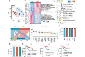 医疗科研新突破 | 菁易科研解读：FOXA2如何提升子宫内膜癌孕激素治疗敏感性？