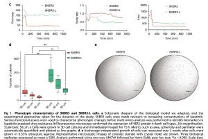医疗科研新突破 | 菁易科研解读：多组学策略揭秘拉帕替尼耐药乳腺癌关键标志物