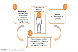 医疗科研新发现 | 菁易科研解读：亮氨酸和乳清蛋白改善肌少症的奥秘