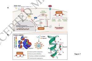 医疗科研新发现 | 菁易科研解读甘油和甘油 - 3 - 磷酸在多领域的作用