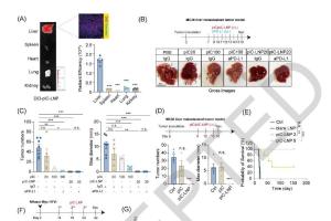 医疗科研新进展 | 菁易科研解读：聚IC脂质纳米颗粒如何对抗肝癌？