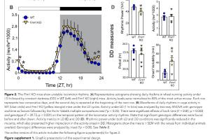 医疗科研新发现 | 菁易科研揭秘：定时喂食改善脆性X综合征小鼠症状