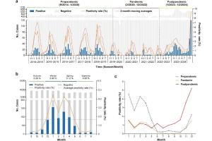 医疗科研新发现 | 菁易科研解析北京2014 - 2024年人类偏肺病毒感染特征