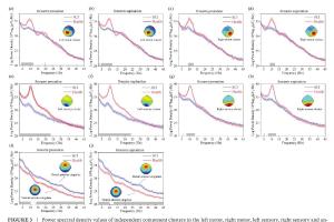 医疗科研新发现 | 菁易科研解读脊髓损伤患者运动皮层活动改变