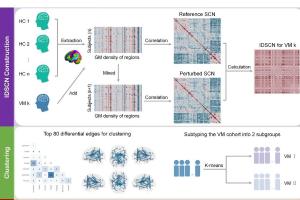 医疗科研新进展 | 菁易科研解读：个体差异结构协变网络分析探前庭性偏头痛异质性
