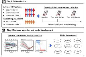 医疗科研新突破 | 菁易科研解读：动态外周血数据预测晚期胃癌免疫治疗疗效